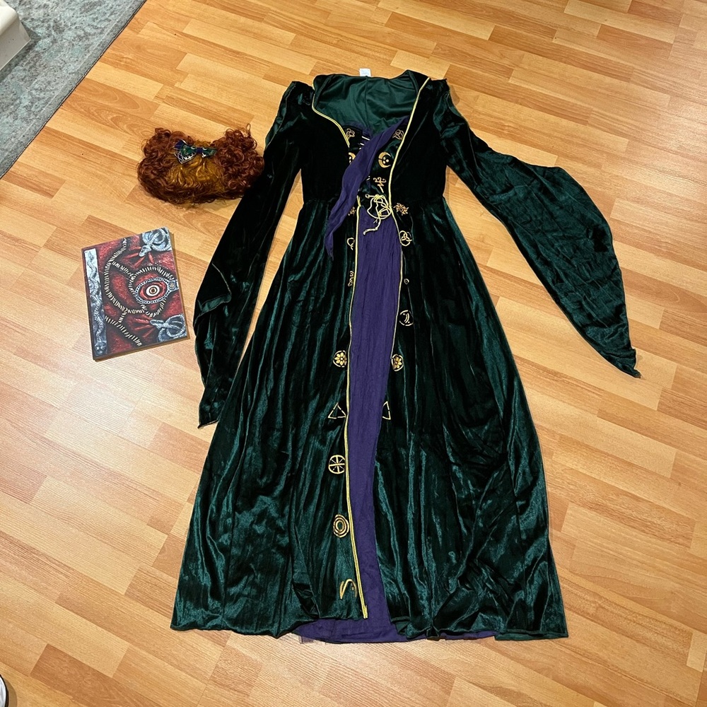 Hocus pocus winnie Sanderson costume